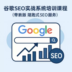 Google SEO practical system training course